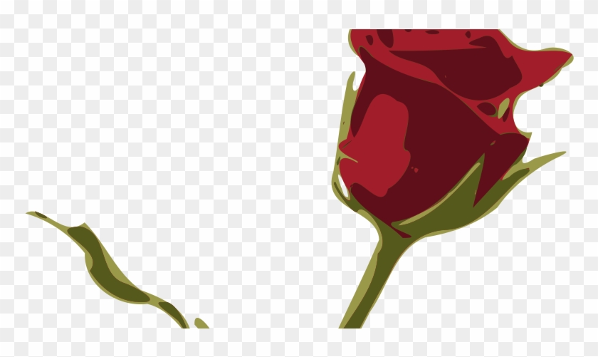 Rose #850779