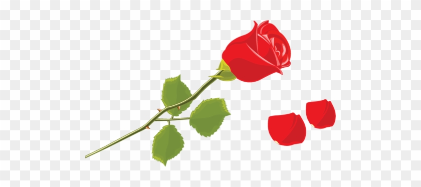Değişik Modellerde Hazırlanmış Olan Bu Png Gül Resimleri - Rosa Com Caule Png #850941