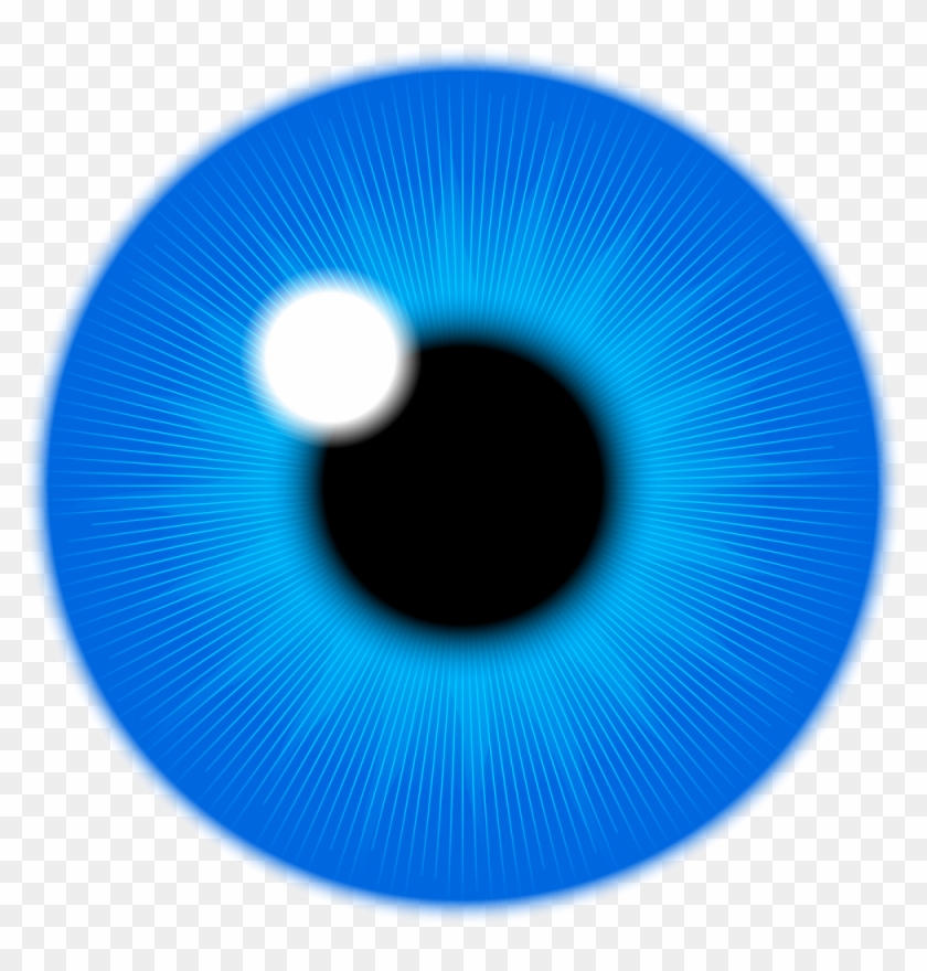 Blue Iris - Blue Iris Png #851367