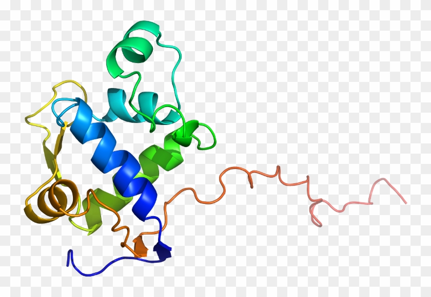 Graphic Design Organism Clip Art - Graphic Design Organism Clip Art #851492