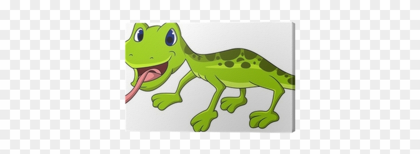 Salamander Cartoon #852408