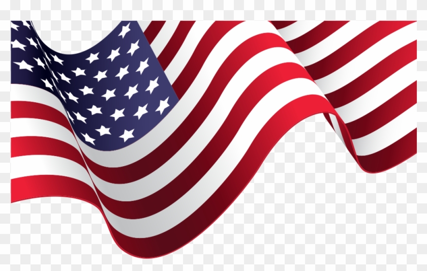 American Flag Vector Material - Two Little Fish Revive Coral Cleaner Live Rock Stony #852453