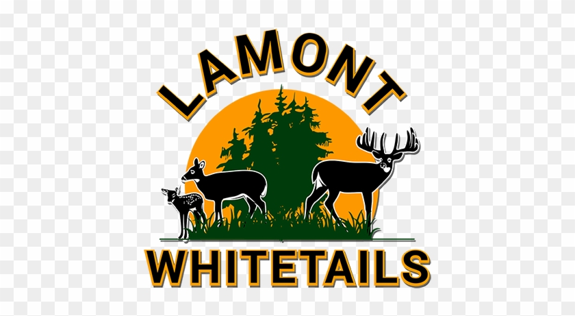 Lamont Whitetails - Blog #852486