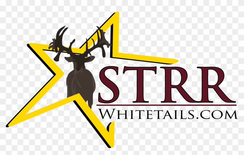 Logo - Graphic Design #852500