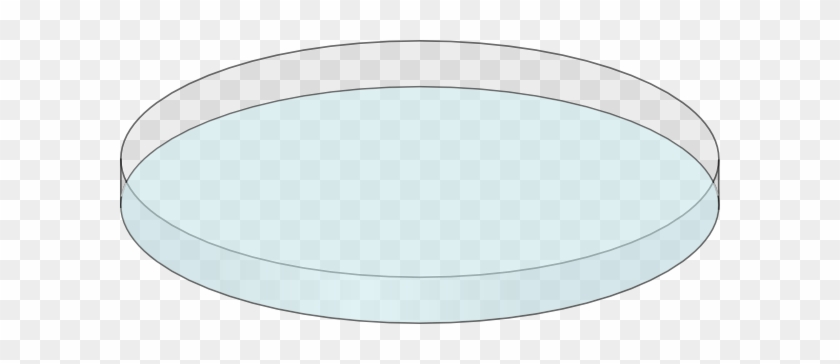 Circle #852593