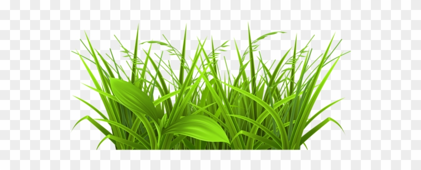 Decoration Clipart Tall Flower - Grass Clipart #852858