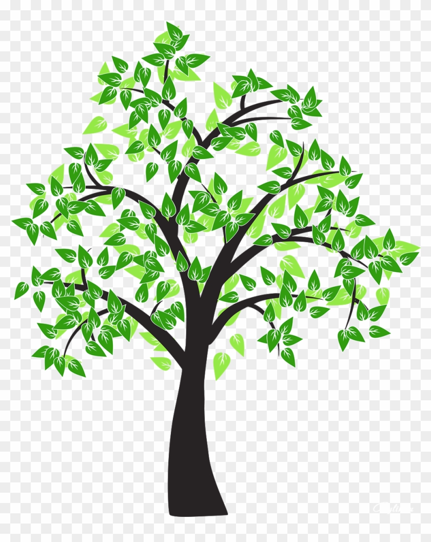 Árbol De Dibujo De La Hoja De Álamo - Tree #853632