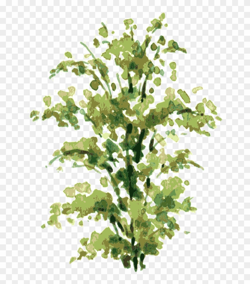Pintura A La Acuarela Arbusto De Dibujo Ilustración - Watercolor Tree Png #853788