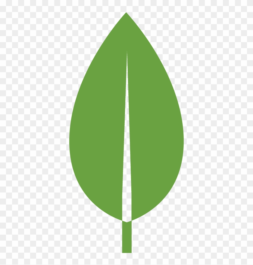 Leaf Flat Design Png #853963
