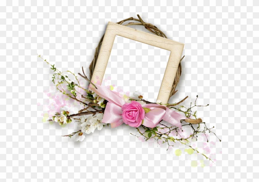 Garden Roses #854324