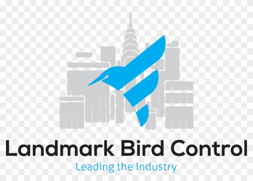 Health Risks Associated With Bird Droppings - Bird Control #854935