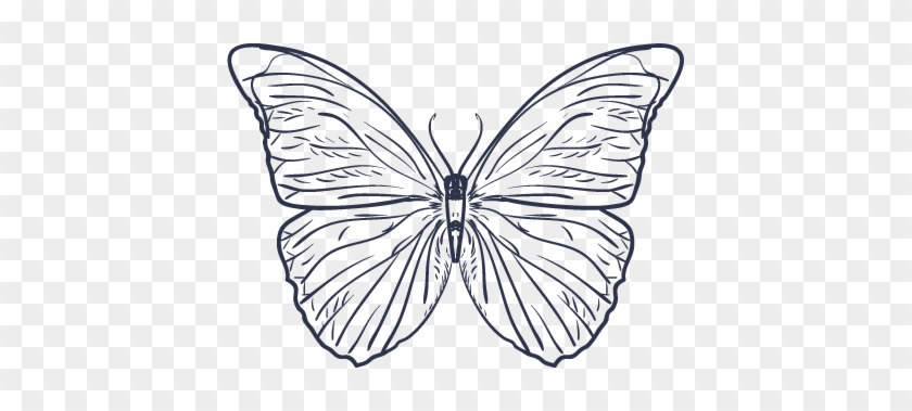 Join The Private Facebook Group Where You Can Communicate - Brush-footed Butterfly #857279