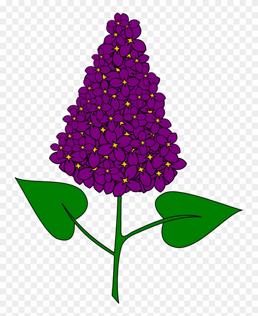 File - Lilas - Svg - Flower #857672