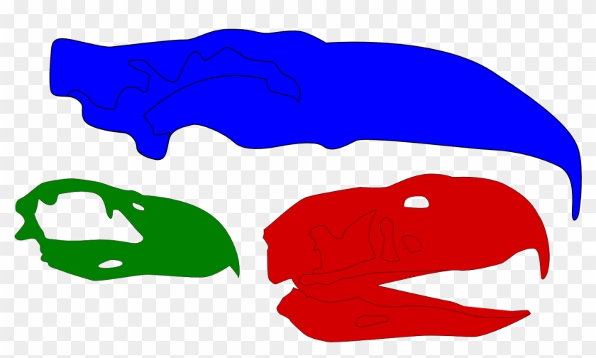 Skulls Of Phorusrhacids - Kelenken Guillermoi #858439
