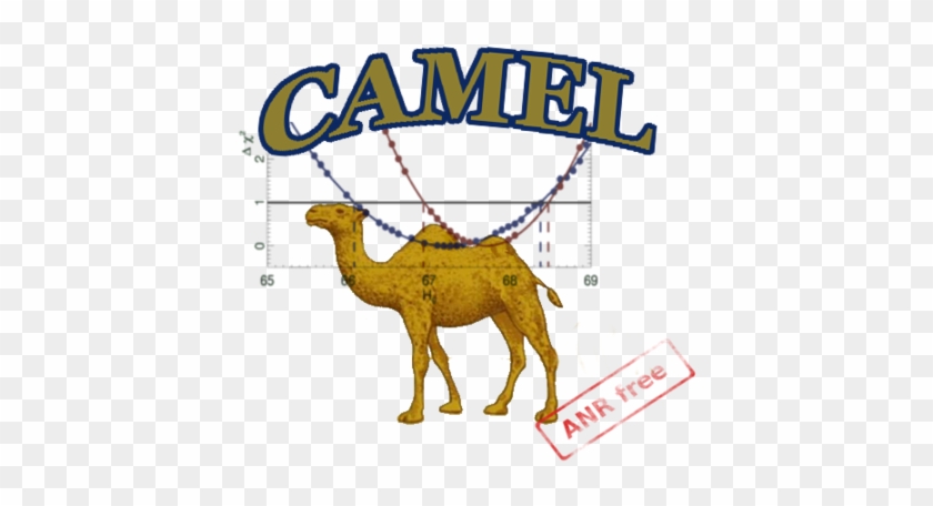 Cosmological Analysis With Minuit Exploration Of The - Camel #860732
