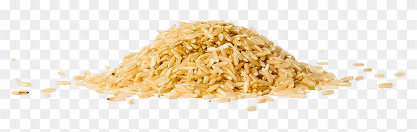 Rice - Penne #860824