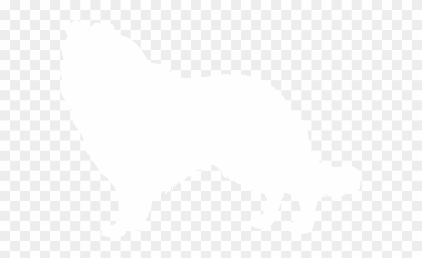 White #860972