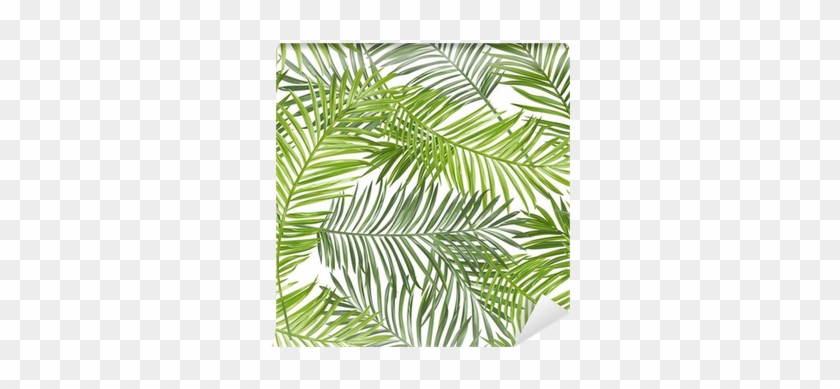 Couture, Inc. Palm Fronds Outdoor Throw Pillow Size: #861203