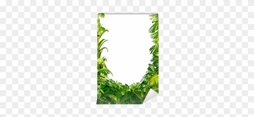 Plants #861215