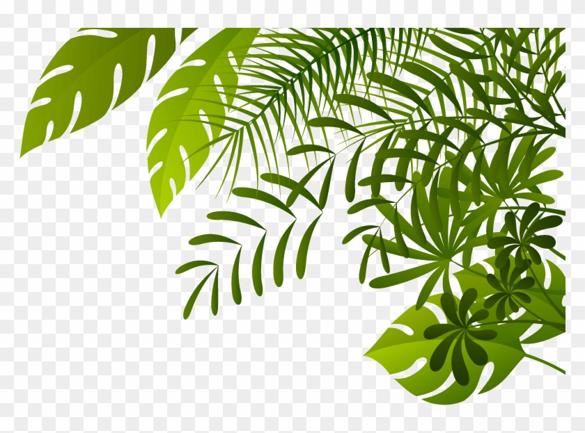 Jungle Png Image - Jungle Png #861266