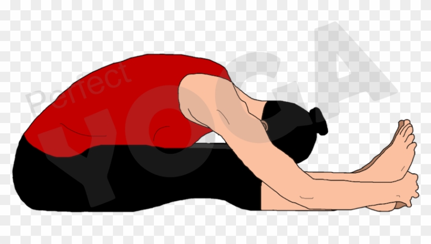 Paschimottanasana Or The Seated Forward Bend Posture - Yoga #861574