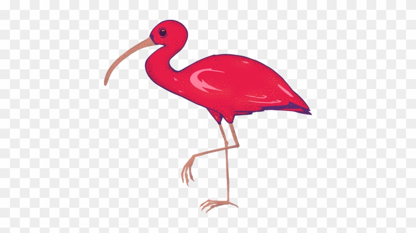 Menu - - Ibis #861647