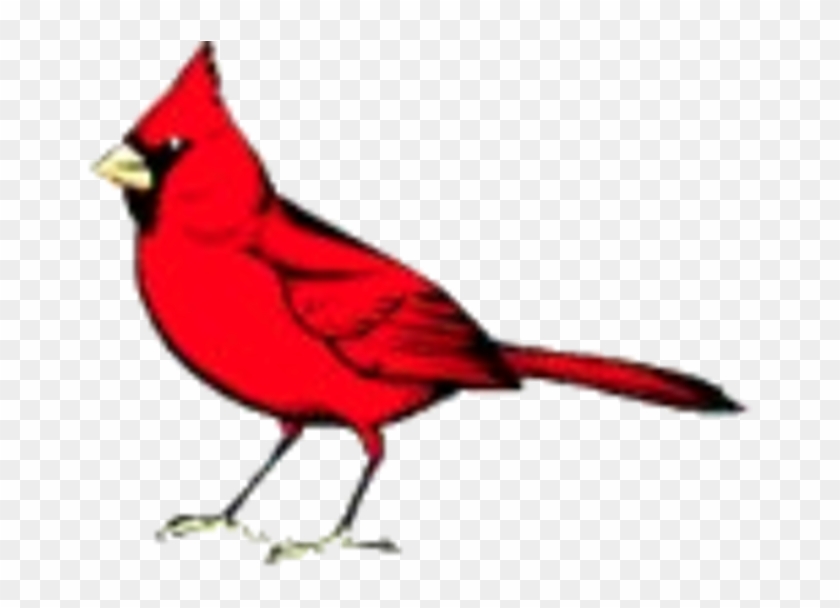 Cardinal Bird Necklace- Bird Pendant, Bird Jewelry, #861680
