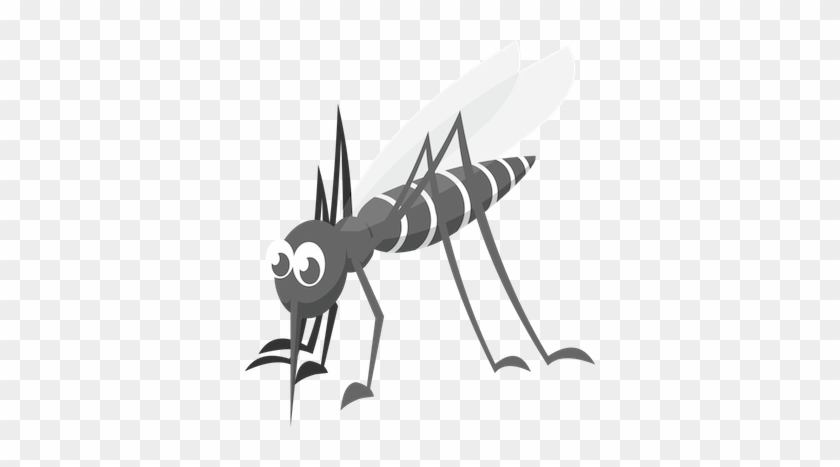 1265730 - Nematocera #861804