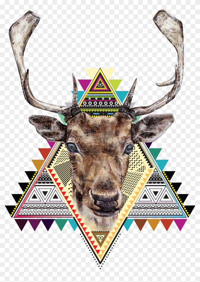 Deer - Deer #861862