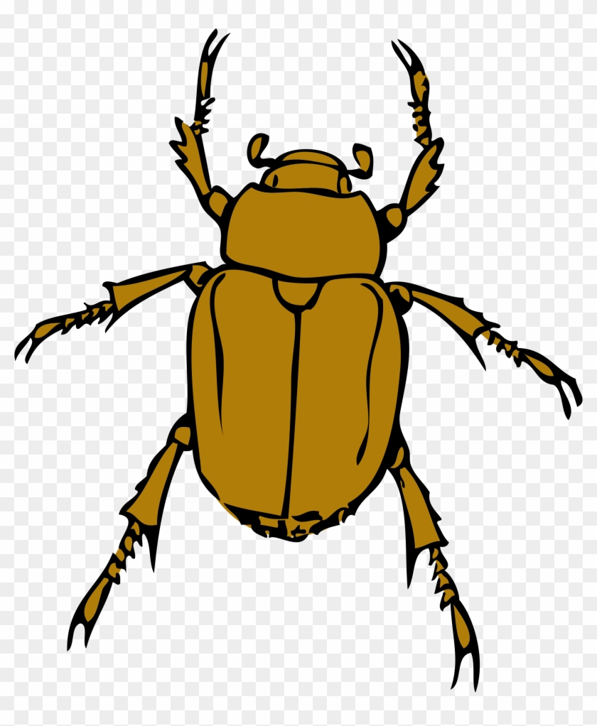 Windows Bug Clipart, Vector Clip Art Online, Royalty - Clipart Bug #158293