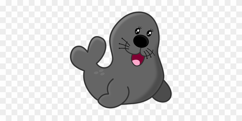 Seal Animals Aquarium Circus Sea Zoo Seal - Baby Seal Shower Curtain #159519
