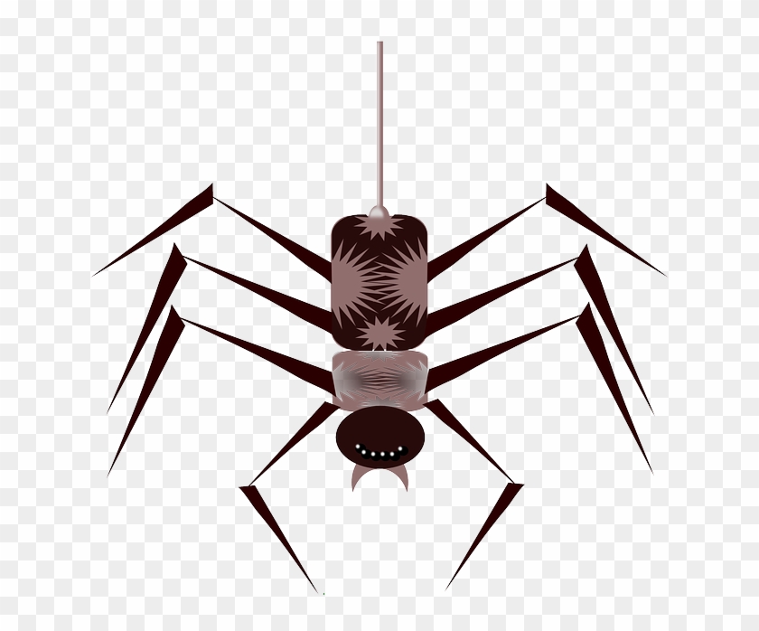 Cartoon, Bugs, Spider, Bug, Free, Web, Insect, Insects - Spider Animated Gif Png #160932