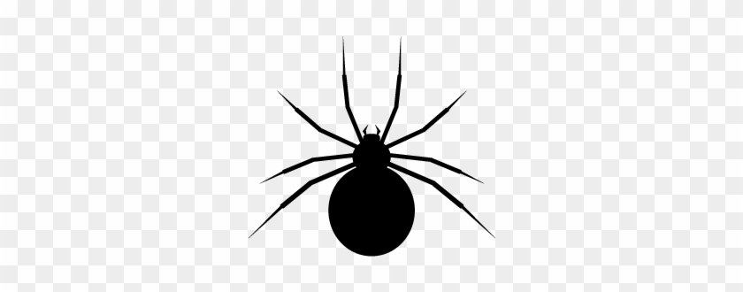 Spider Icon - Black Widow Spider Icon #160966