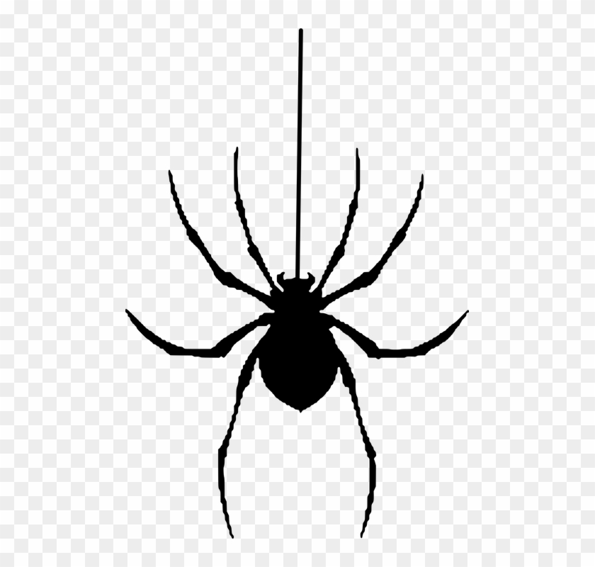 Spider, Silhouette, Halloween, Insect - Spider Vector #161292