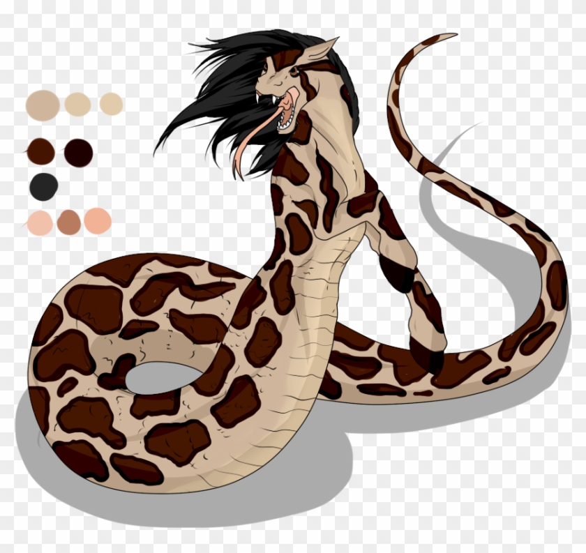 Custom Pony - Draw A Burmese Python #162464