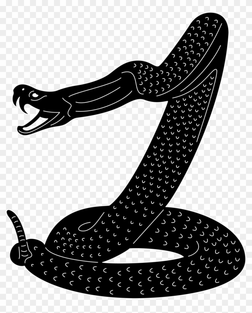 Snake Attack - Snakes #163090