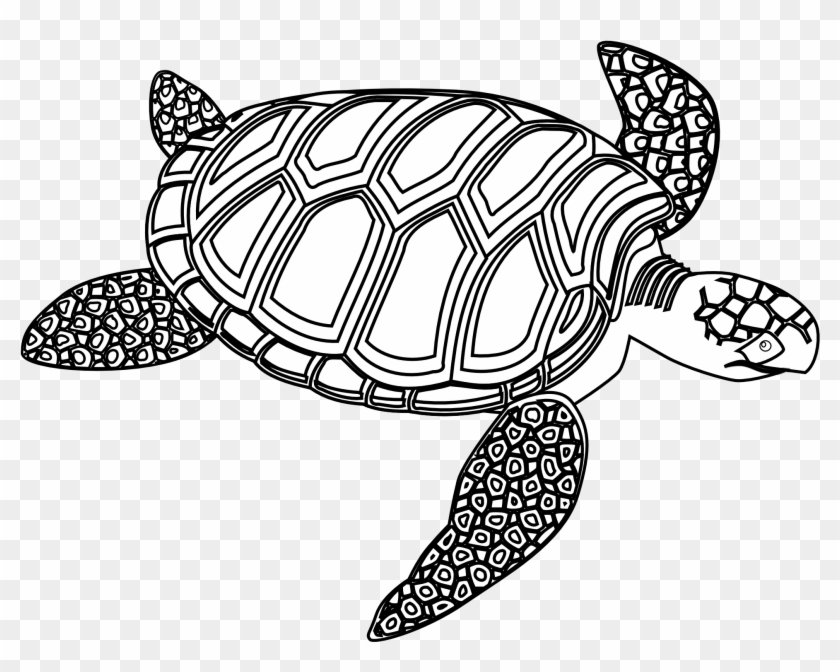 Black And White Turtle - Turtle Black And White #163483