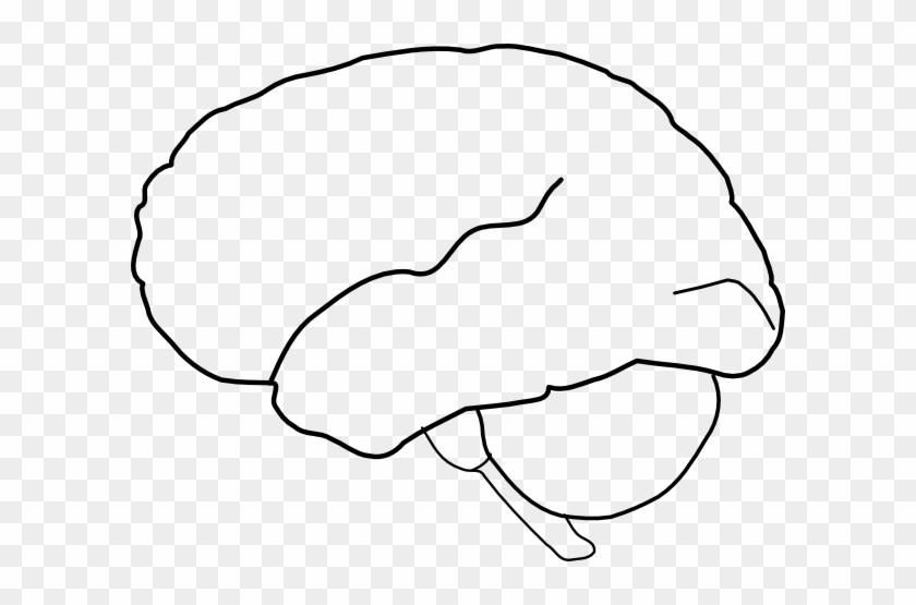 Brain Template Brain Outline Clip Art At Clker Vector - Outline Of The Human Brain #163689