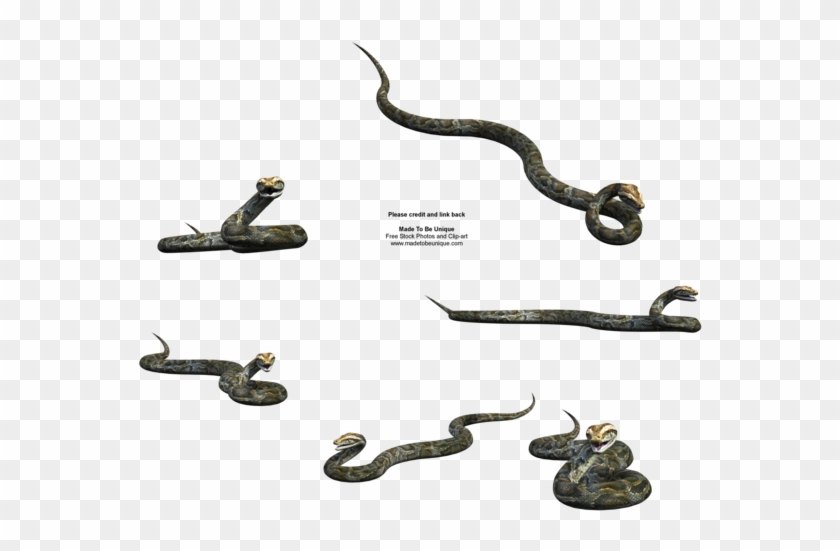 Realistic 3d Python Snake Stck By Madetobeunique - Snakes #163708
