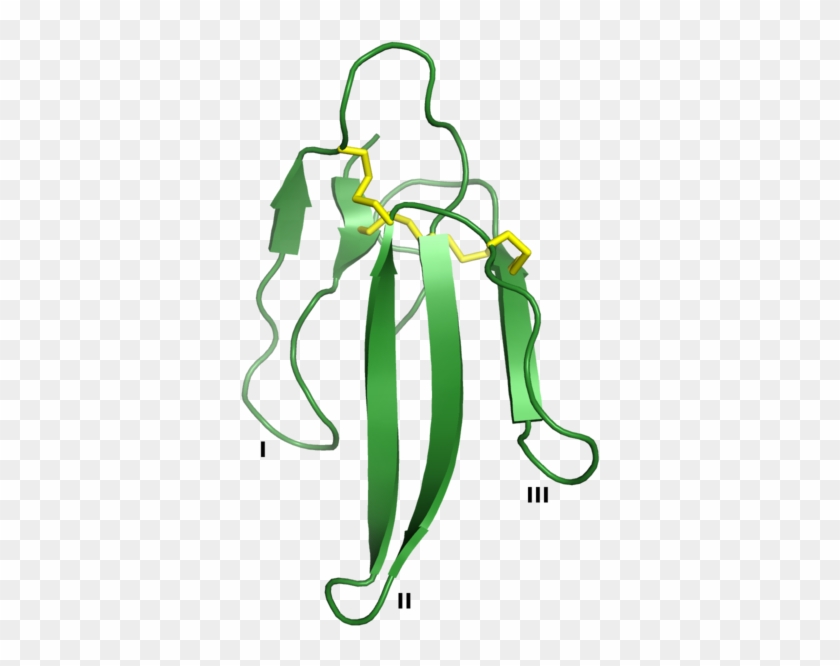 Erabutoxin, An Example Of A Snake Venom Three-finger - Three Finger Toxins Snake Venom #163713