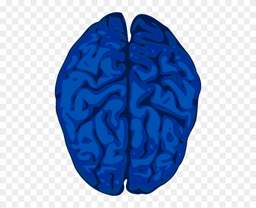 Brain Clipart #163978