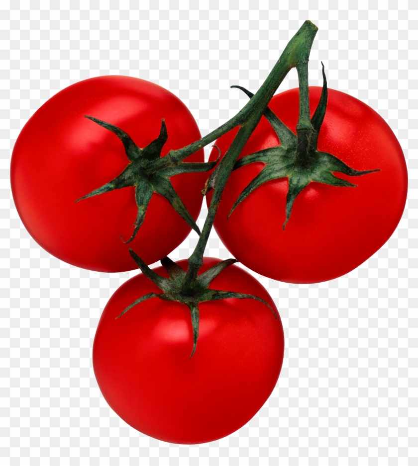 Animation Tomato Clipart - Postharvest: An Introduction To The Physiology And #862089