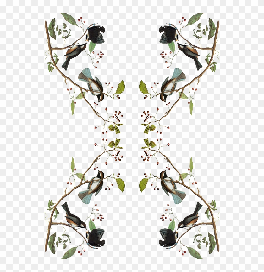 Audubon Chickadee Nboreal Chickadee (parus Hudsonicus) #862091