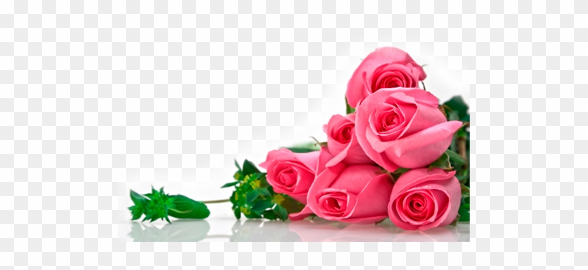 Red Black And White - Good Morning Images Hd With Rose #862477