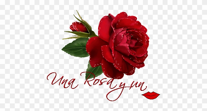 Flores Para Ambientar," Decorar Jardines Y Fachadas - Welcome Rose #862478