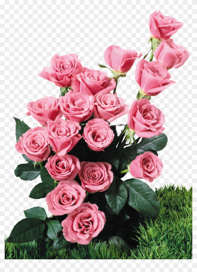 Flores Fotos Gratis Tatoo Cotes Imagenes De Ramos De - Marco De Flores Png #862532