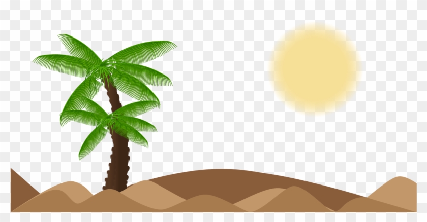 Tree Arecaceae Landscape Euclidean Vector - Palm Trees #862539
