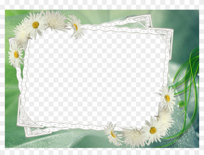 Fondos De Flores Para Email Para Fondo En Hd Gratis - Fondos De Flores Para Email Para Fondo En Hd Gratis #862548