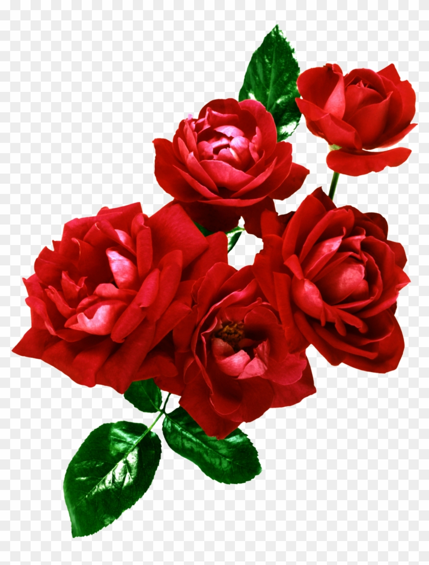 Flores Png, Ramos, Etc, Renders - Wedding Frame Psd #862691