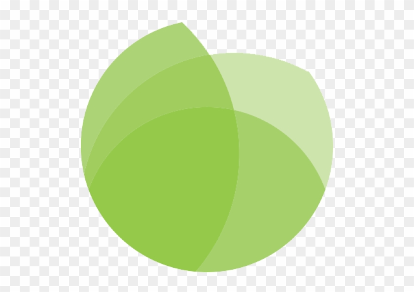 Circle #862725